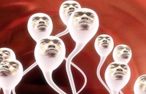 Benefits of Natural Foods for Reproductive Health