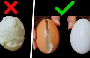 Don’t Boil Eggs Directly In Water — Here’s How FIVE-STAR Hotels Cook Their Eggs!