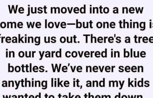 What We Discovered About the Glass Bottle Trees in Our Neighborhood