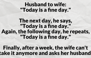 Today is a fine day.