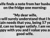 BRILLIANT WIFE
