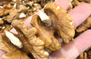 Doctors reveal that eating walnuts causes