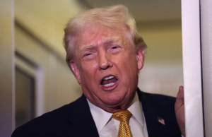 Trump gives worrying response after being asked for update on $2,000 checks he promised to give to almost everyone in America