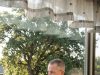Every morning at 7:15, a retired K9 officer in Tucson stepped out of his back door carrying an eighty-five-pound German Shepherd in his arms like a child. When a neighbor finally captured a 38-second clip of the ritual through her kitchen window, the world watched in silence, racking up 15 million views in just three days